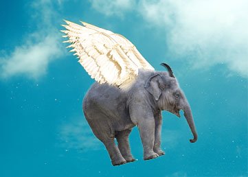Photoshop composite of an elephant with wings